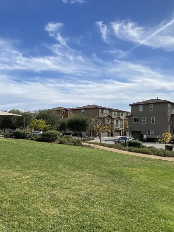 Olive Glen