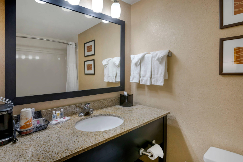 Comfort Inn & Suites Peachtree Corners - Norcross