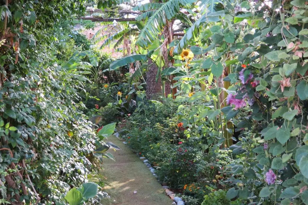 Il Roseto di Betty Appartamento in villa S1