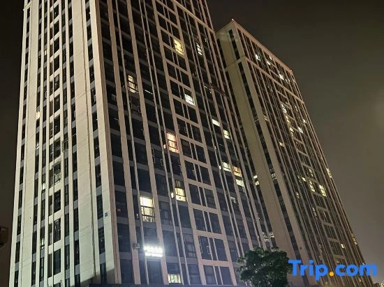 Zheyoo Collection Hotel (Baolong Plaza South Railway Station)