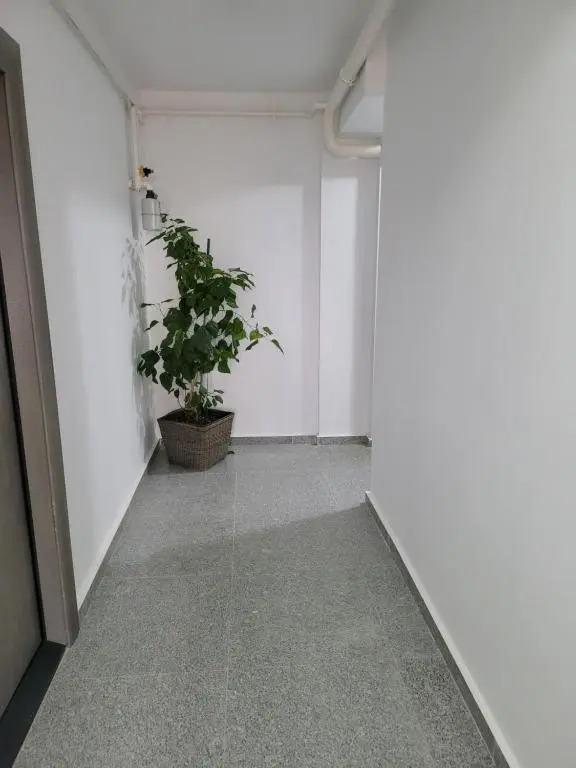Alina apartament 2