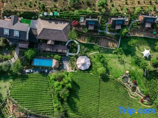 Anji Muyuan Mountain Villa Swimming Pool Coffee Family Vacation Stay