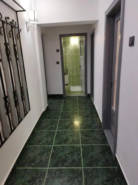 Apartament Miruna