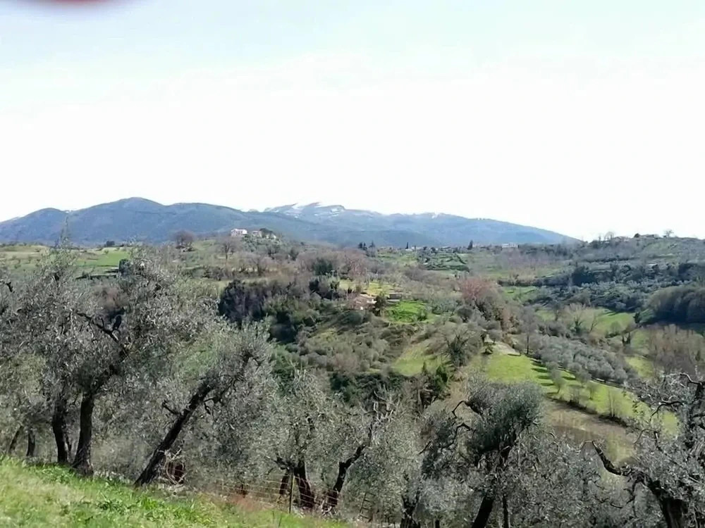 Colle dei Gelsi