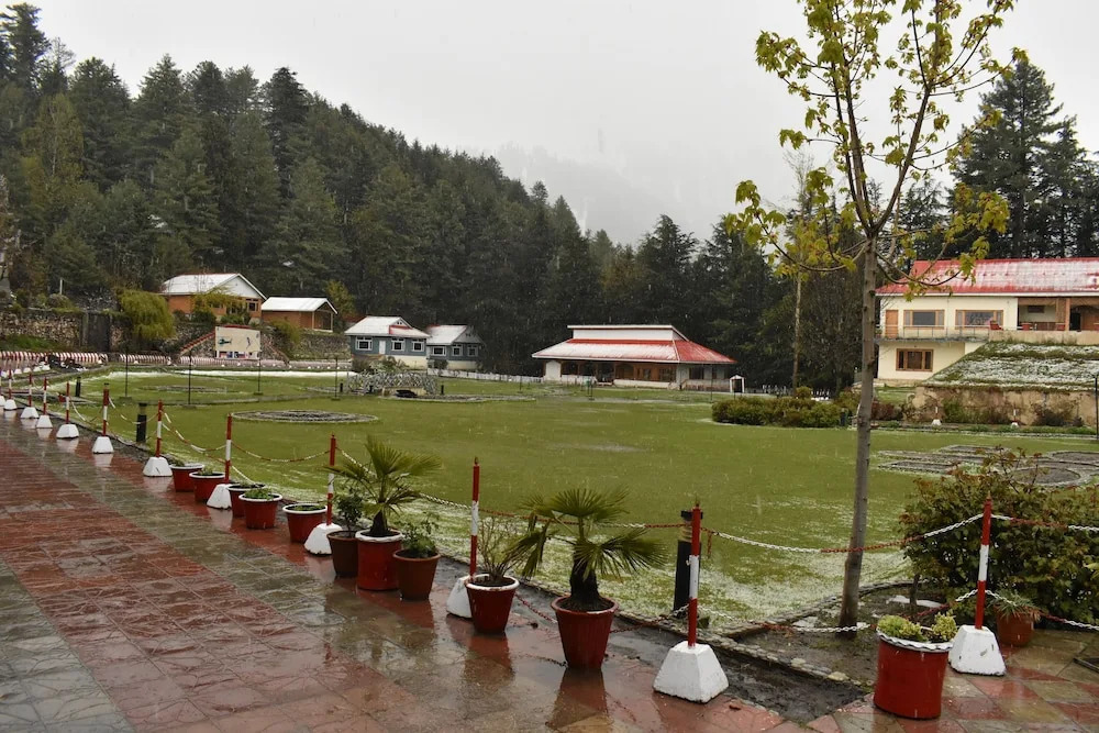 Pine Park Hotels & Resorts