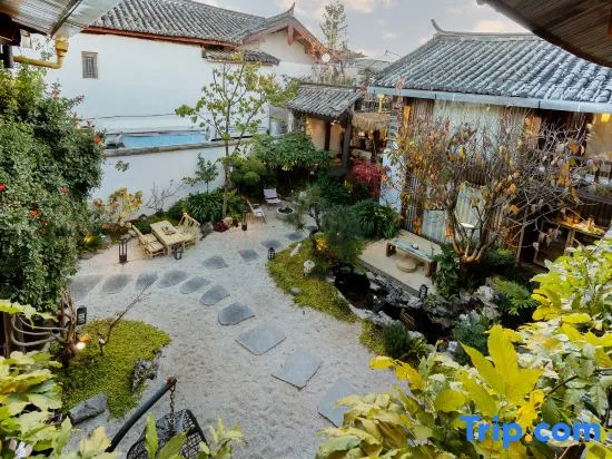 ‌The Secret Garden of Cats & Wolf's Den | Barista Courtyard Cafe & Inn (Wuyi Street)