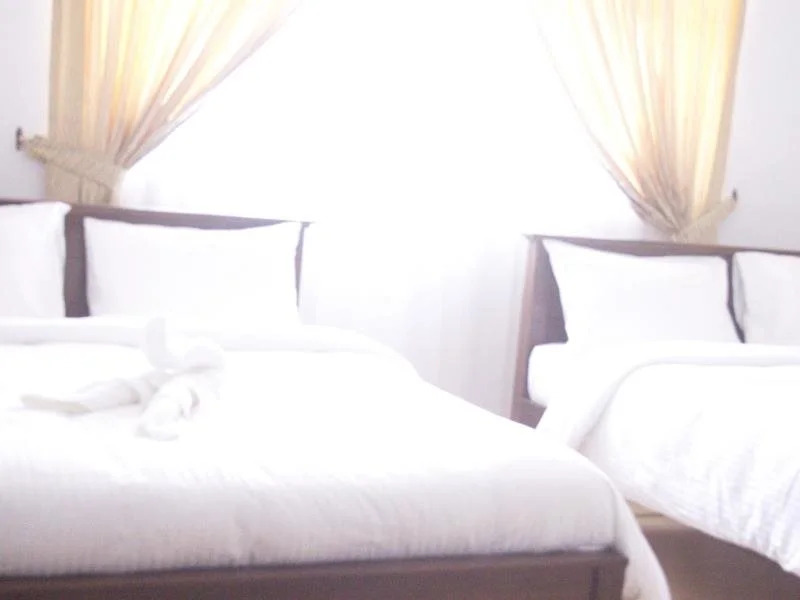 Olive Grand Guest House
