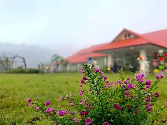 Kantika Resort