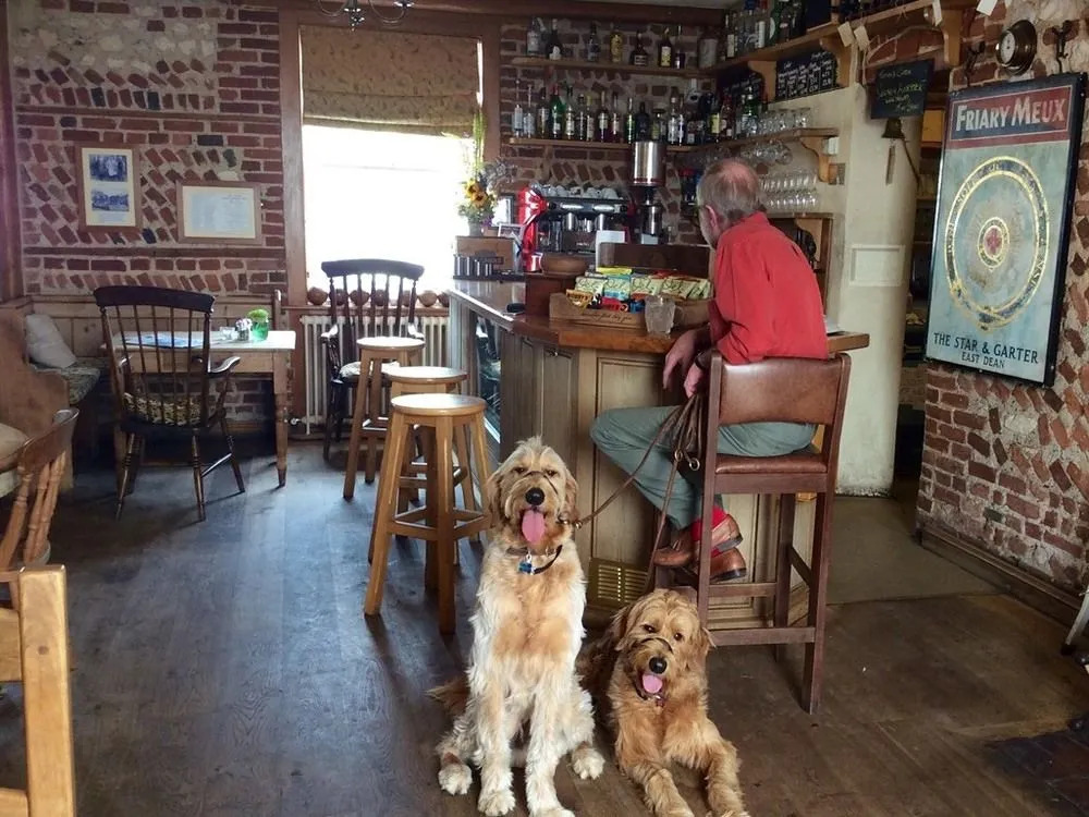 The Star and Garter