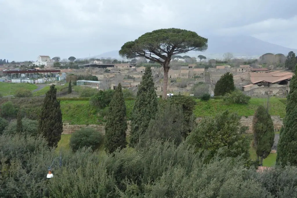 Il vecchio Fauno