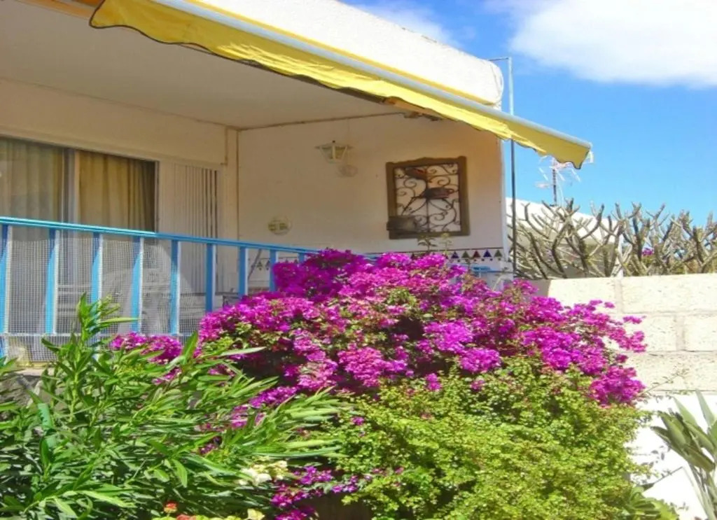 Casa-Limona-in-Teneriffas-sonnigem-Sueden