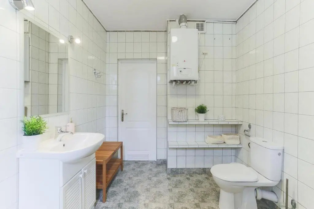 Spacious Sunny Apartment in Oldtown
