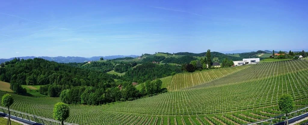 Weinrefugium Brolli