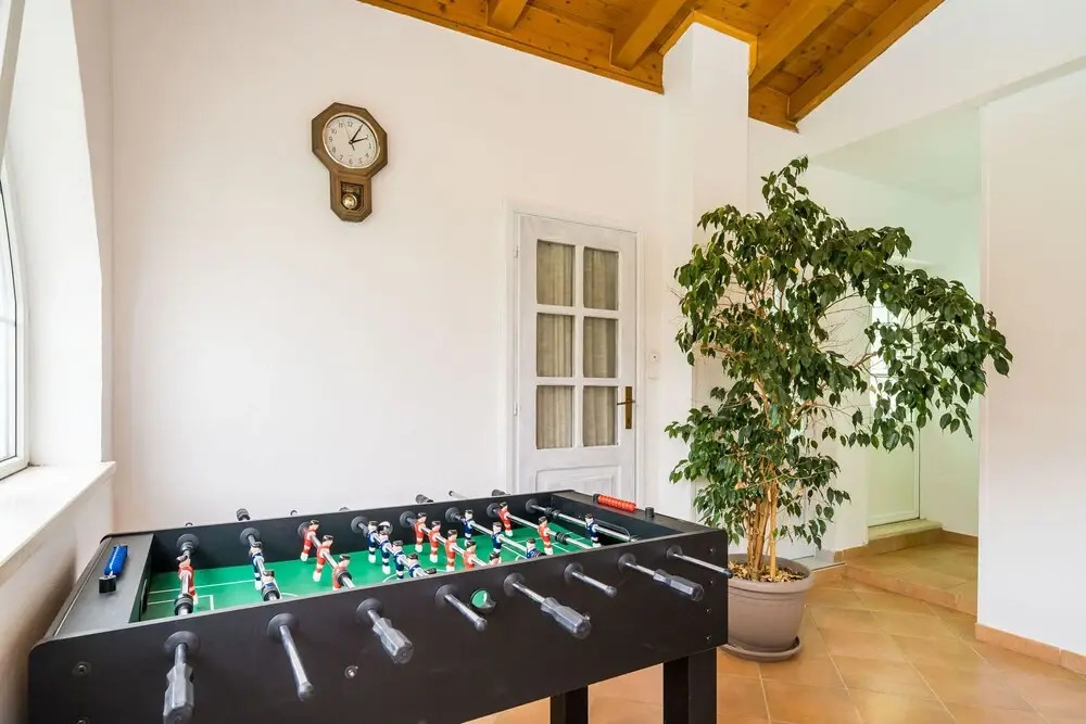 Apartments Davor