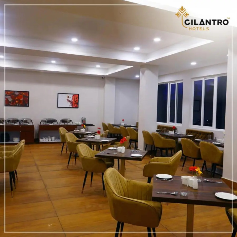 Cilantro Comfort