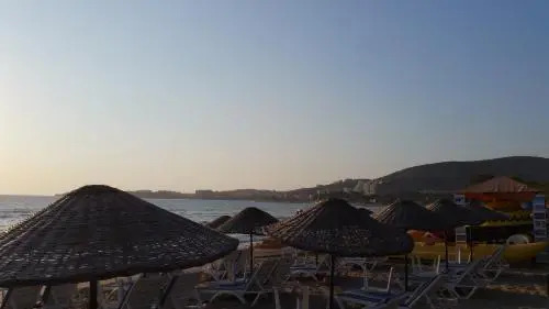 Villa Palm23