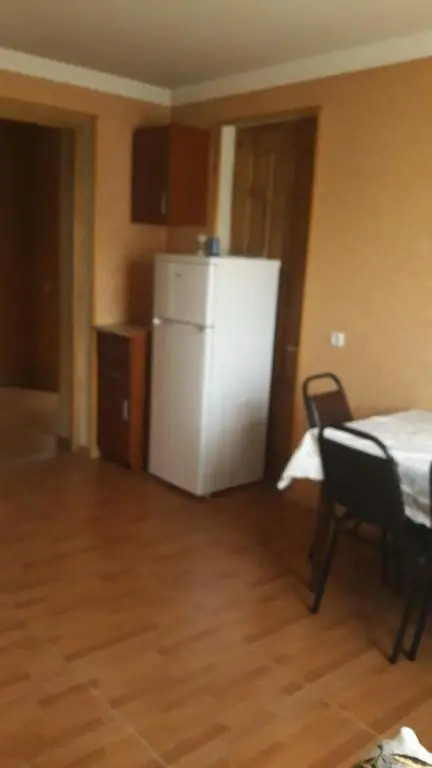 Apatrment Telavi