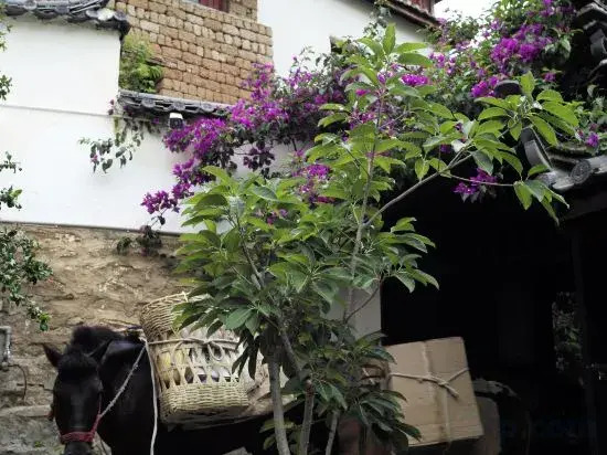 Tea Horse Road Stone Town