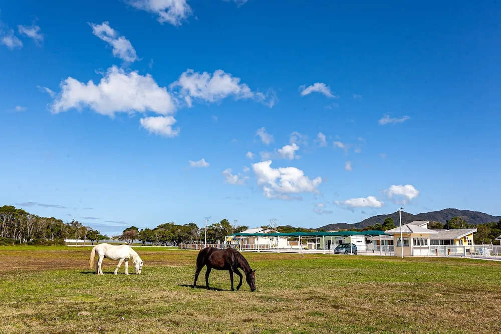 Residencial Império Das Águias