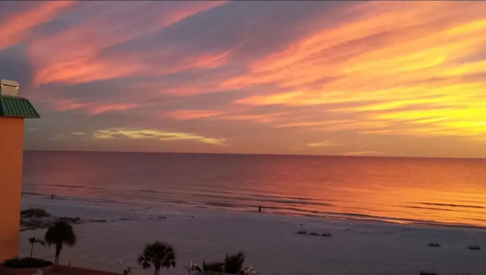 Beach Palms 402