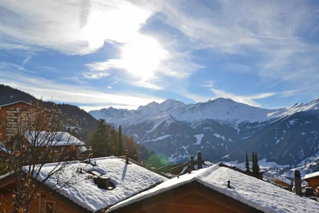 Snowbird 214