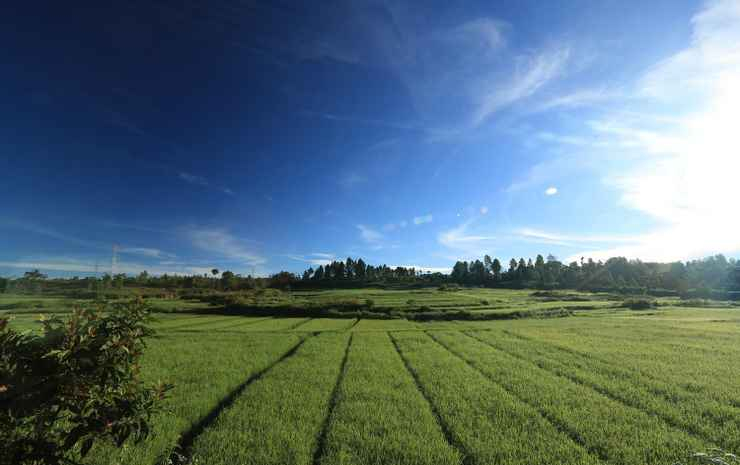 Piltik Homestay