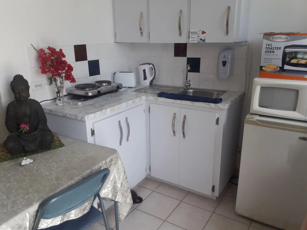 Palmitas Hostel with tropical garden & pool