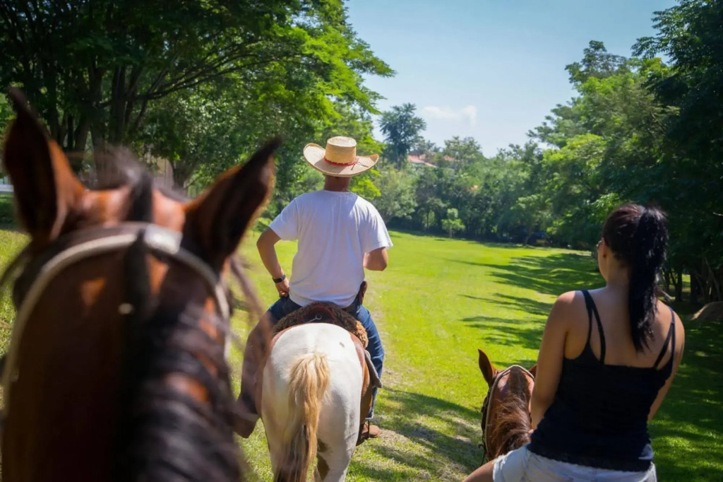 Resort Fazenda Sao João