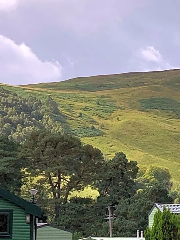 Blair Atholl River tilt park treetops