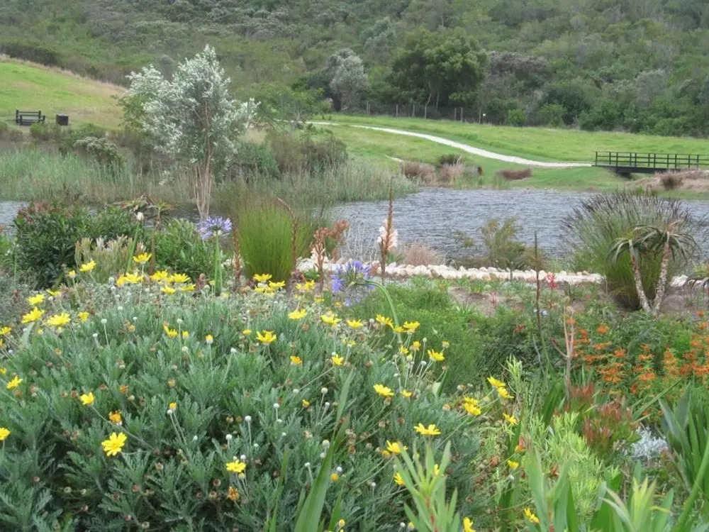 Bitou River Lodge