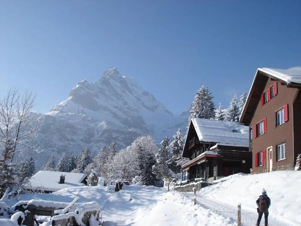 Adrenalin Backpackers Hotel