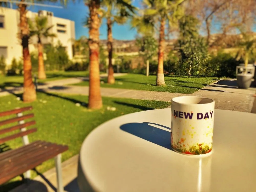 New Day Apartments