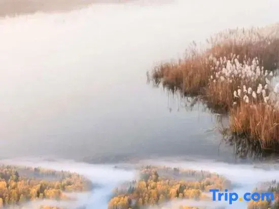 Yichun Dasha Hotel (Xing'an National Forest Park)