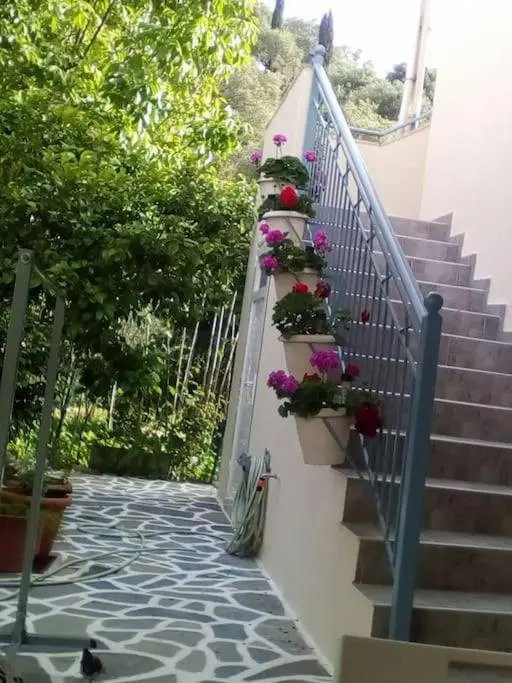 Elen's House