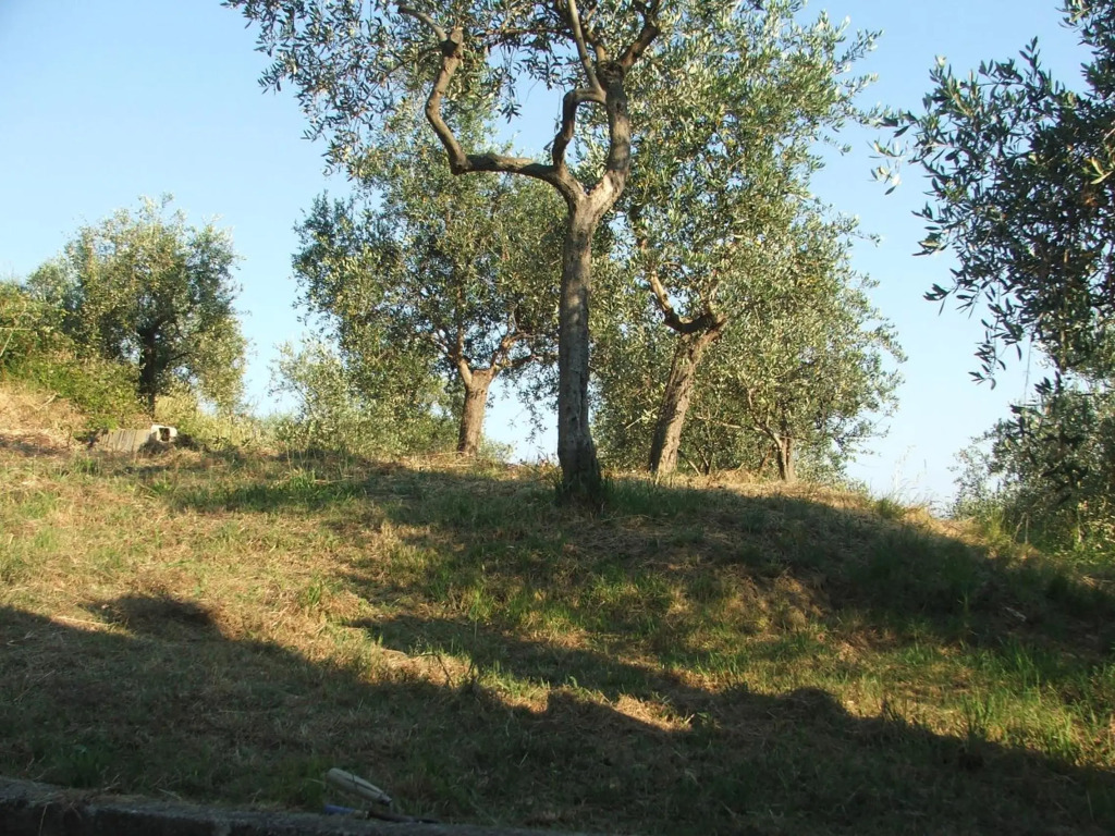 La Casetta di Sofia 2