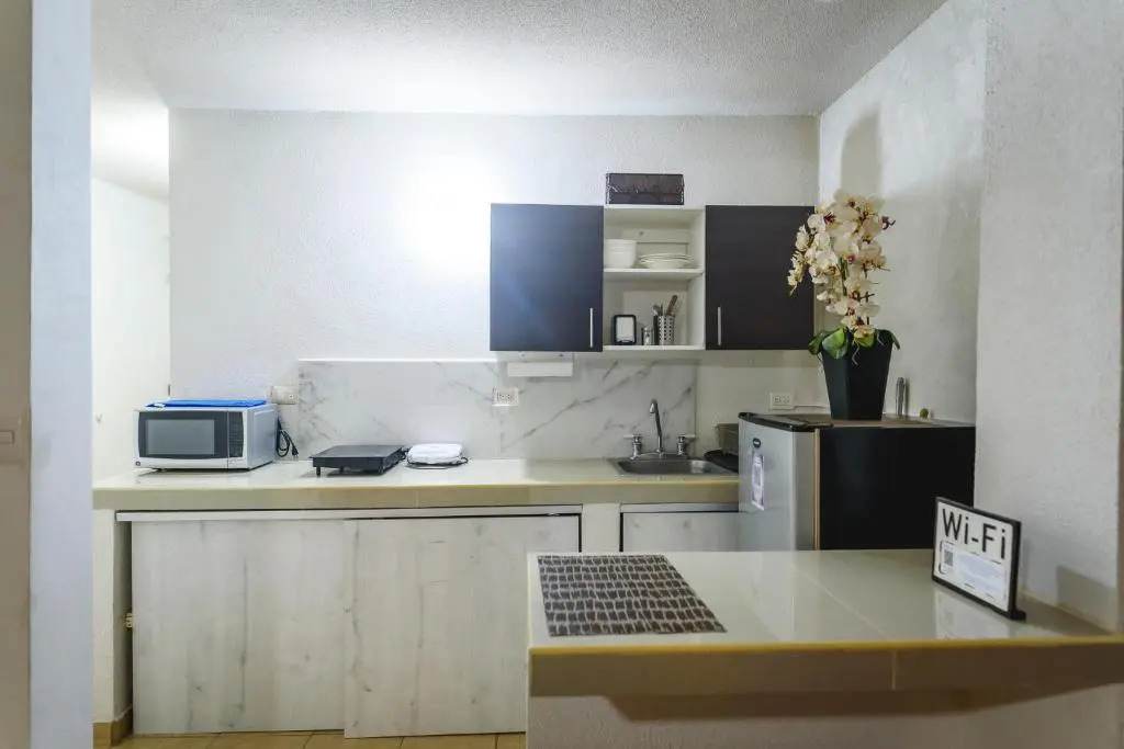 DepaB privado, centrico,Wifi 80 mb ,aire acondicionado ,cocina, cochera techada,
