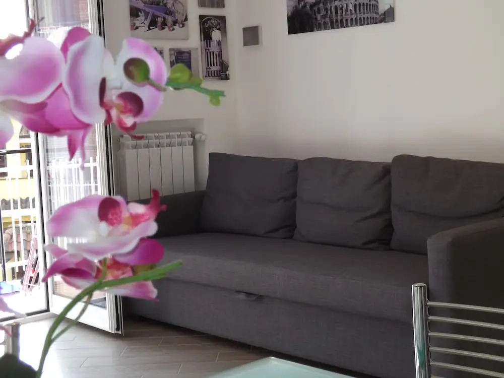 Sissi Home
