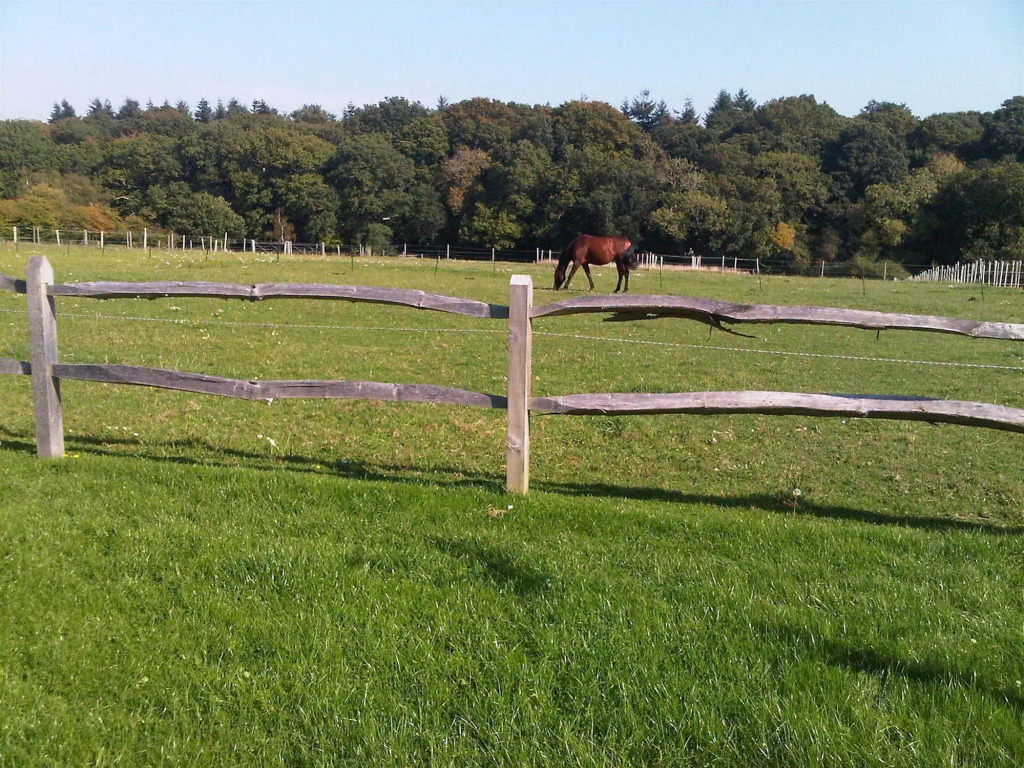 Old Dairy Farm Glamping