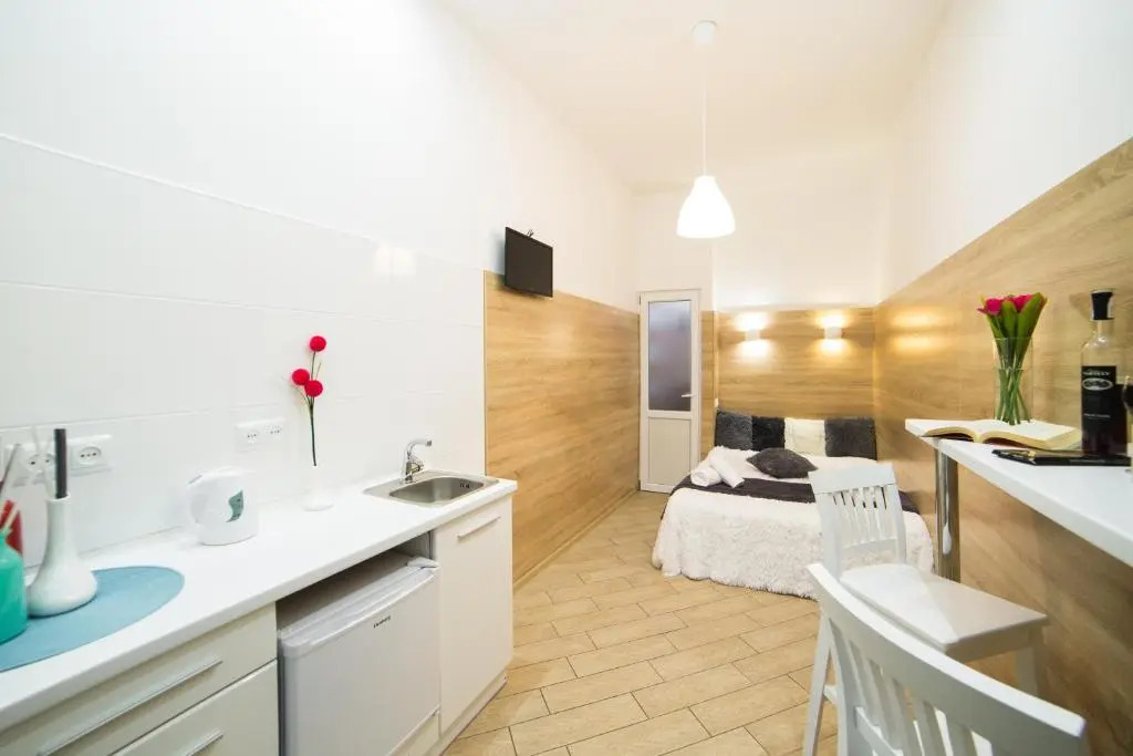 Mini Economy apartments- Filatova 10