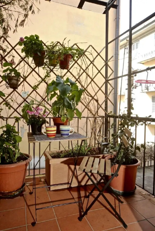 Faenza Novella