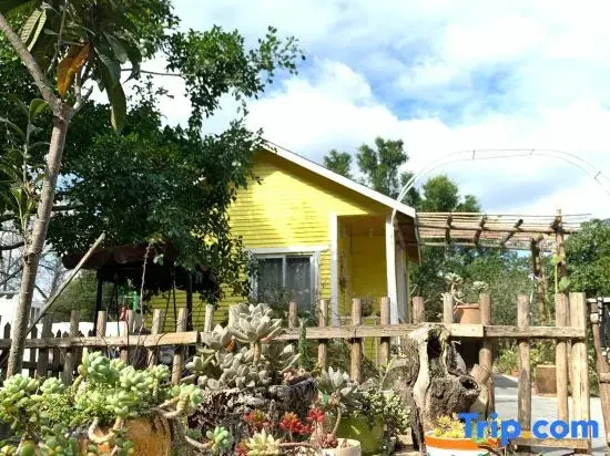 Wuzangyuan Boutique Homestay (Lijiang Zhuyu Wharf)
