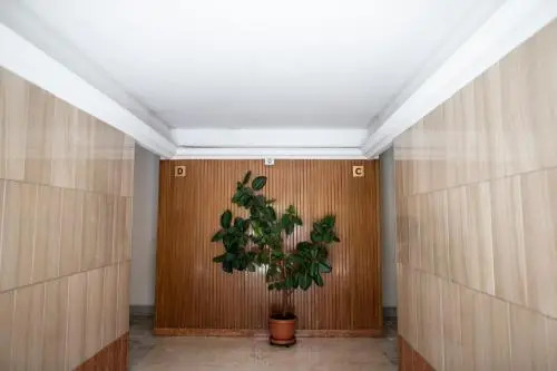 Il Magnificus Boutique
