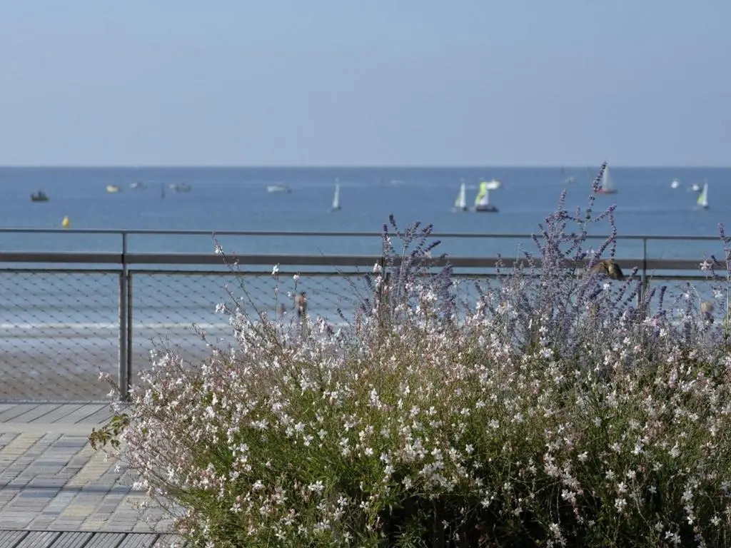 Appartement Les Sables-d'Olonne, 2 pièces, 4 personnes - FR-1-92-566