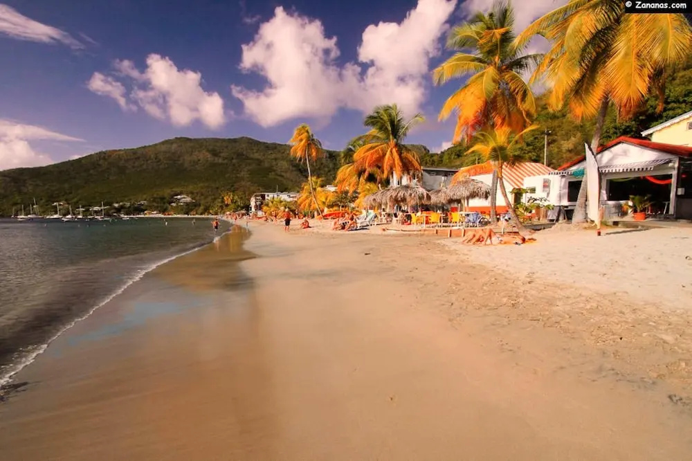 Apartment with 2 Bedrooms in Les Anses-DArlet, with Wonderful Sea View, Furnished Garden And Wifi - 500M From the Beach