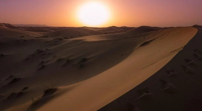 The Desert Palace