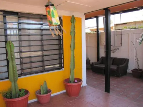 Hostel Chango Backpackers