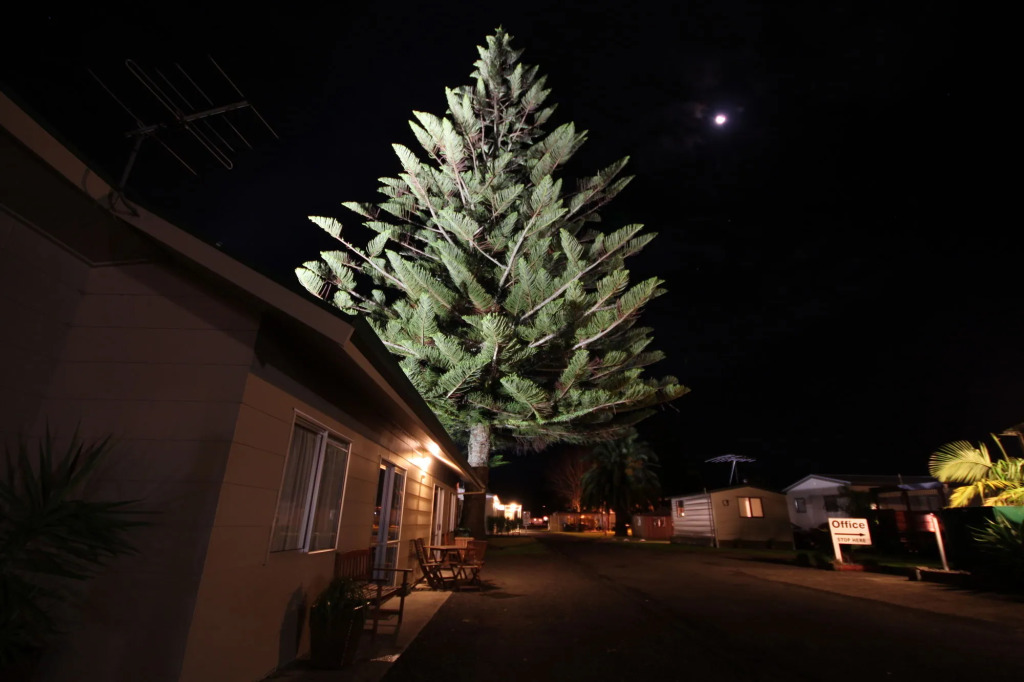 Mercury Bay Holiday Park
