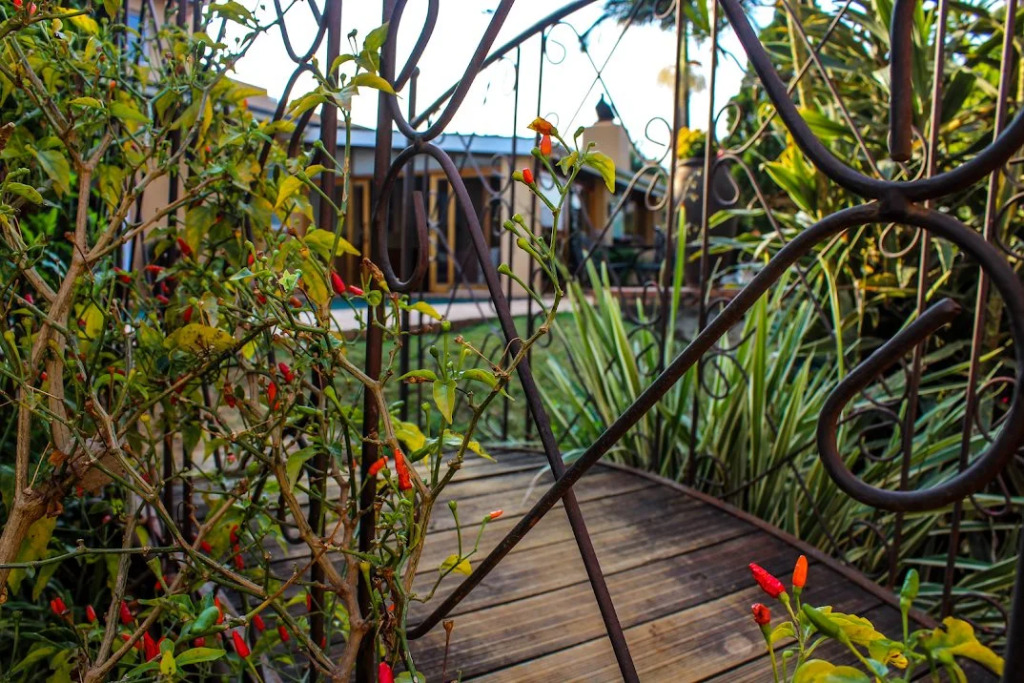 Damicha Boutique Lodge