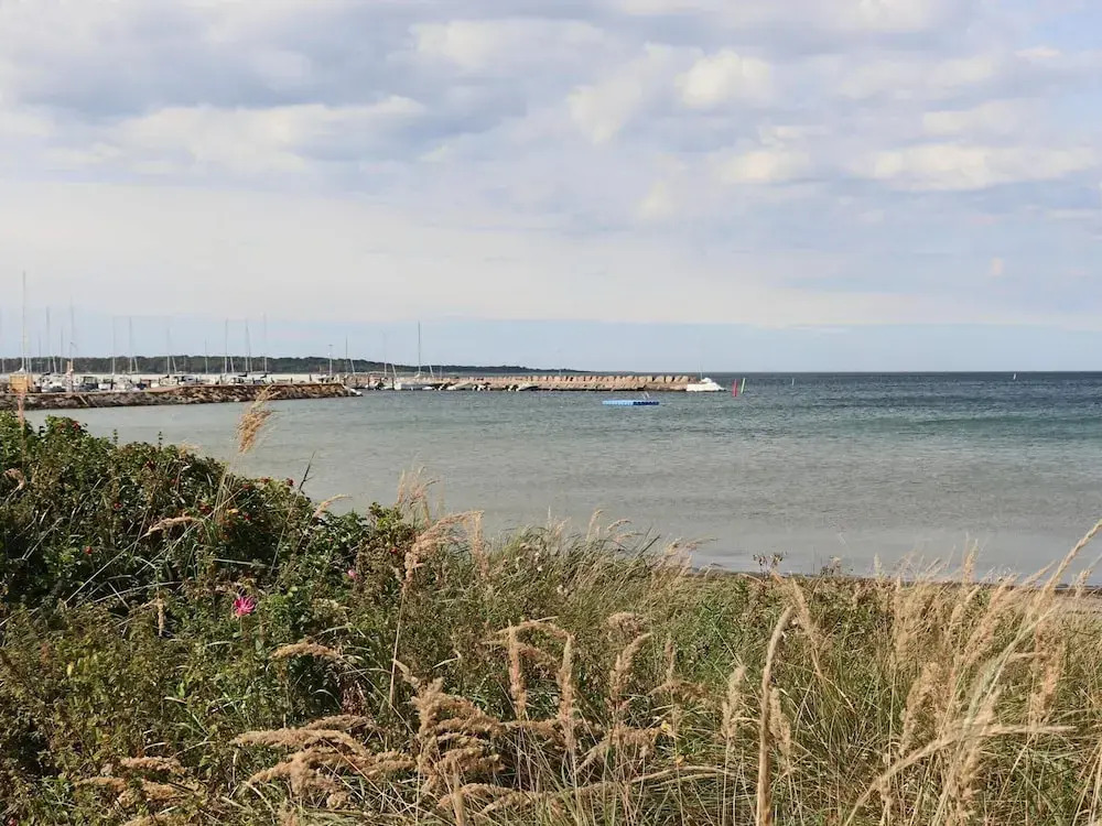 5 Star Holiday Home in Torekov