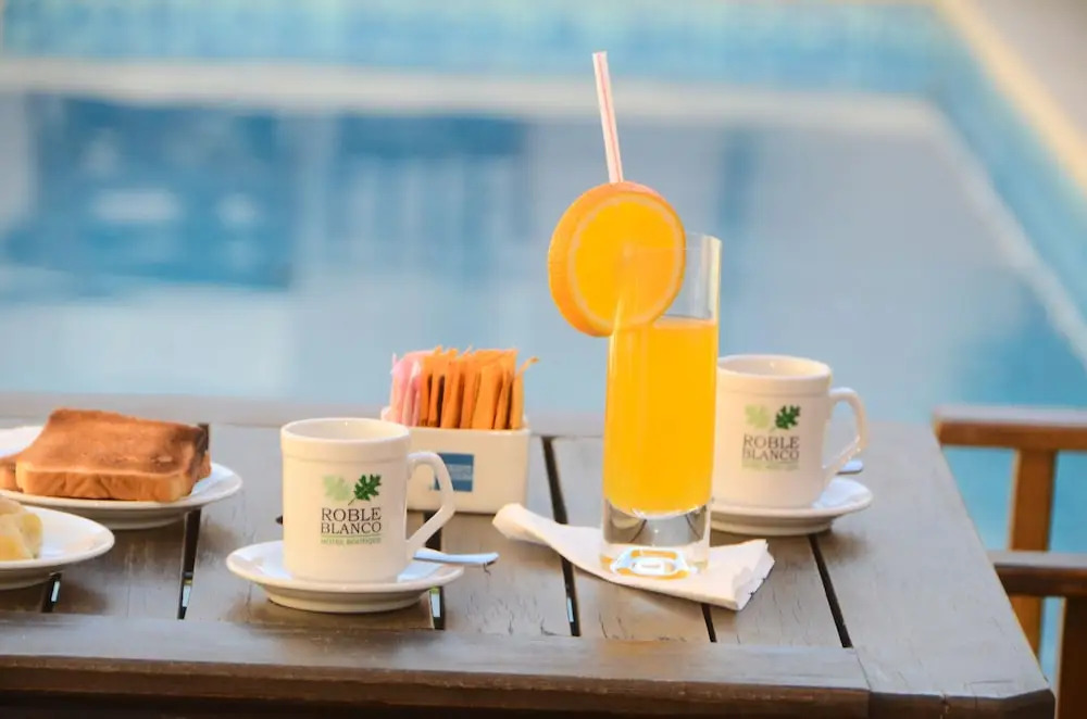 Hotel Roble Blanco